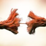 Picture of a cut cord breaking.