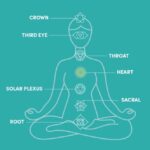 A diagram showing the chakras. Chakra Oils.