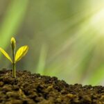 Growth: Ignorance is Bliss