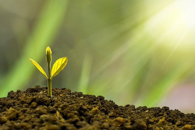 Growth: Ignorance is Bliss