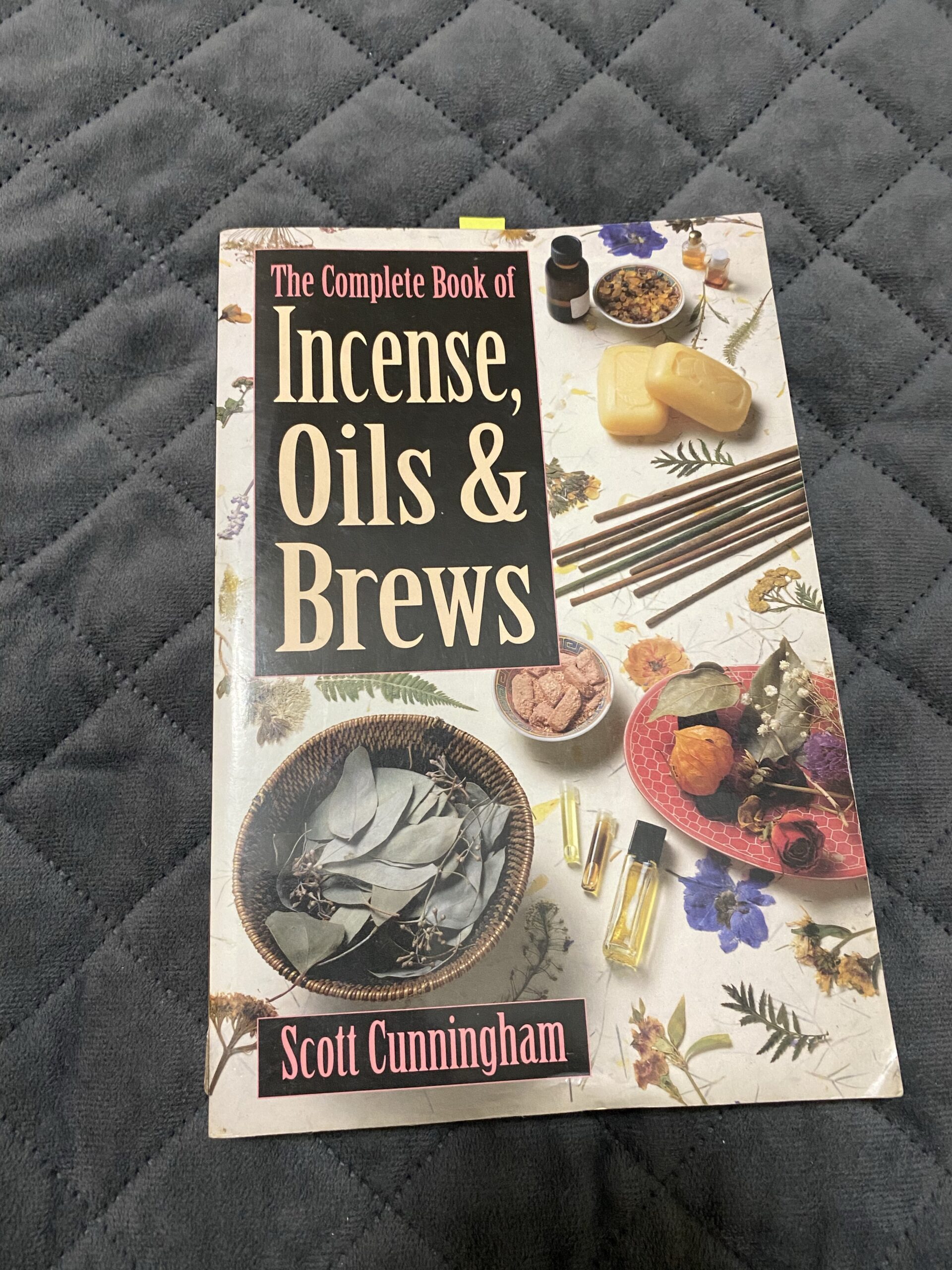 The Complete Book of Incense, Oils & Brews SOCIAL LIGHTS INC