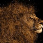 lion's gate2025