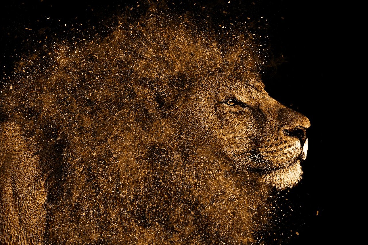 lion's gate2025